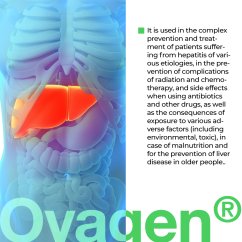 OVAGEN® – Játra a detoxikace