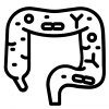 Střevní mikrobiom