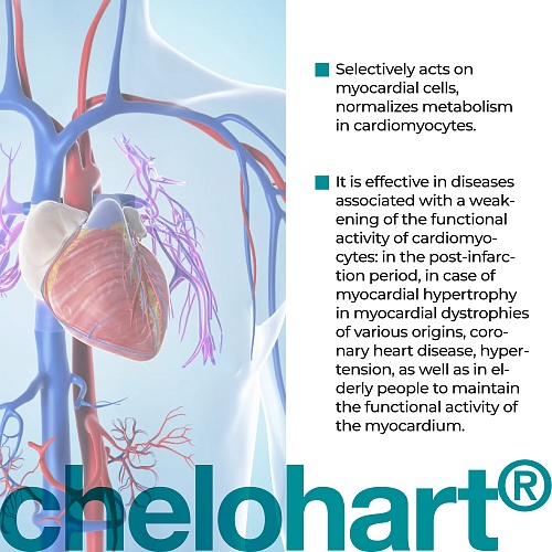 CHELOHART® – Peptidový komplex pro podporu srdce a cév