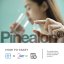 PINEALON® – Jasná mysl a duševní rovnováha