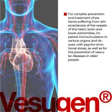 VESUGEN® – podpora cév a srdce | Cytogeny