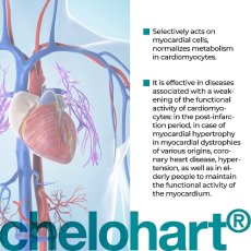 CHELOHART® – Peptidový komplex pro podporu srdce a cév