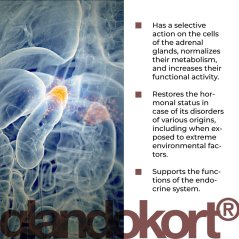 GLANDOCORT® – Podpora nadledvin a obranyschopnosti