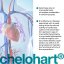 CHELOHART® – Peptidový komplex pro podporu srdce a cév