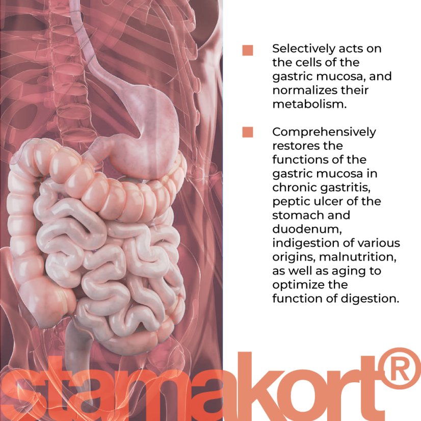 STAMAKORT® – Podpora žaludku a zdravého trávení