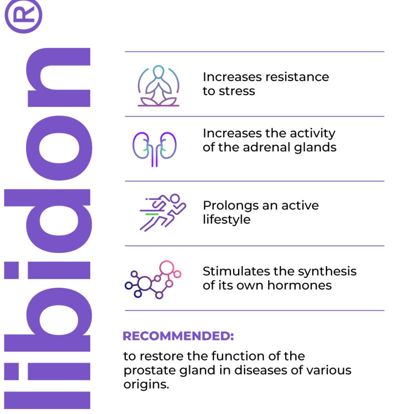 LIBIDON® – Peptidový komplex pro zdraví prostaty a mužskou vitalitu