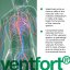 VENTFORT® – Podpora zdravých cév a krevního oběhu