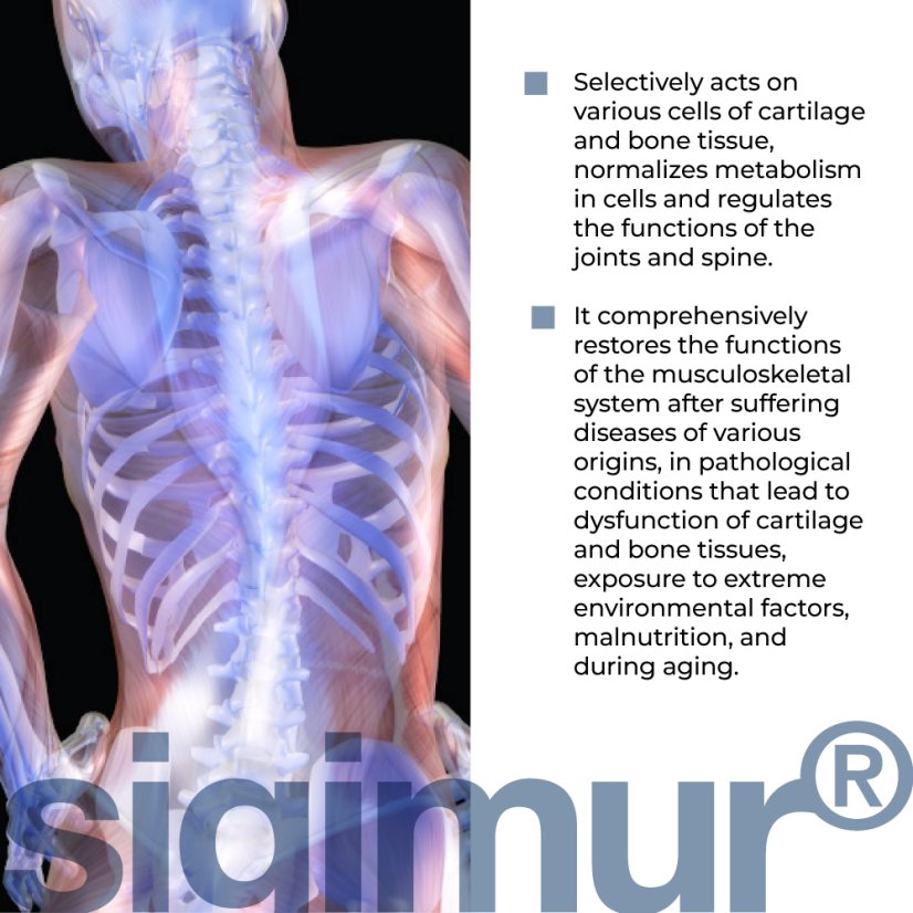 SIGUMIR® – Podpora kloubů a regenerace chrupavek