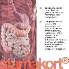 STAMAKORT® – Podpora žaludku a zdravého trávení