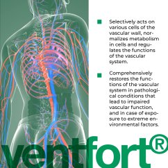 VENTFORT® – Podpora zdravých cév a krevního oběhu