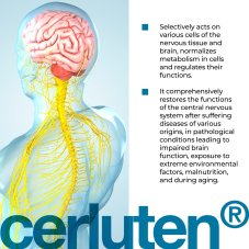CERLUTEN® – Podpora paměti, soustředění a zdraví mozku