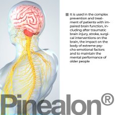 PINEALON® – Jasná mysl a duševní rovnováha