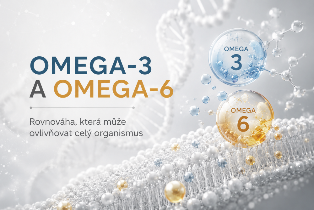 Omega-3 a Omega-6 rovnováha